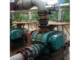 章丘豐源污水曝氣羅茨風(fēng)機用于瑞祥生物廠