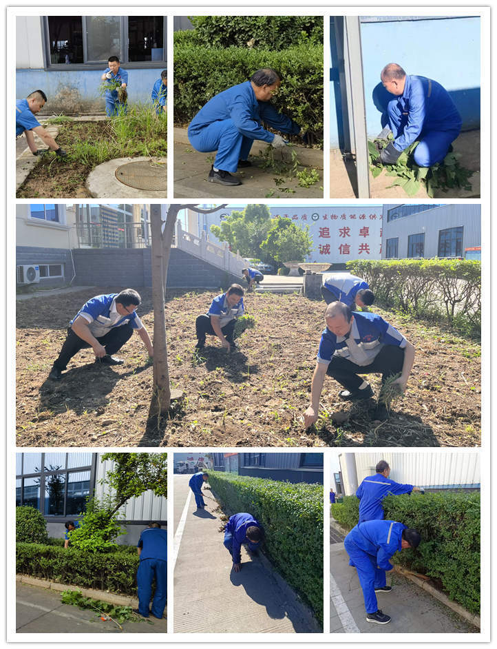 在公司領(lǐng)導(dǎo)的帶領(lǐng)下，各部門積極投入廠區(qū)內(nèi)外公共區(qū)域的清潔工作中，大家熱情高漲，分工合作